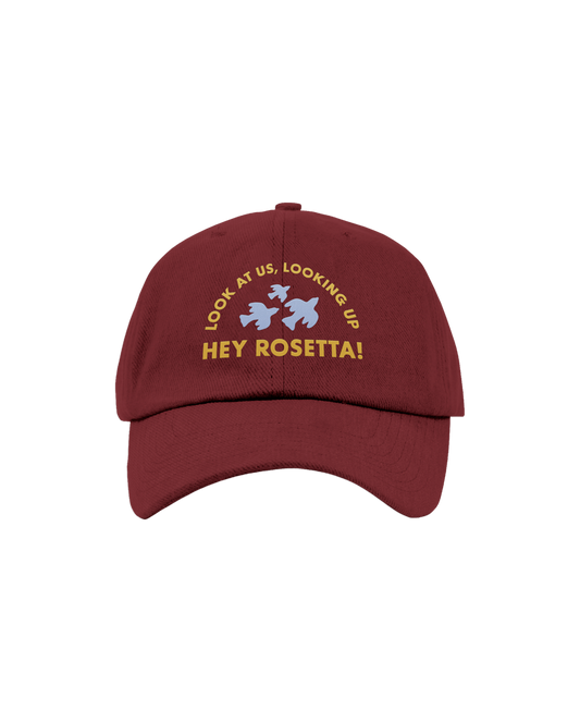 Looking Up Hat (Maroon)
