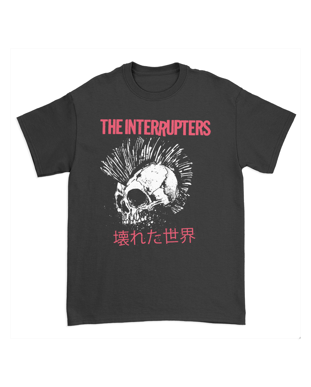 THE INTERRUPTERS